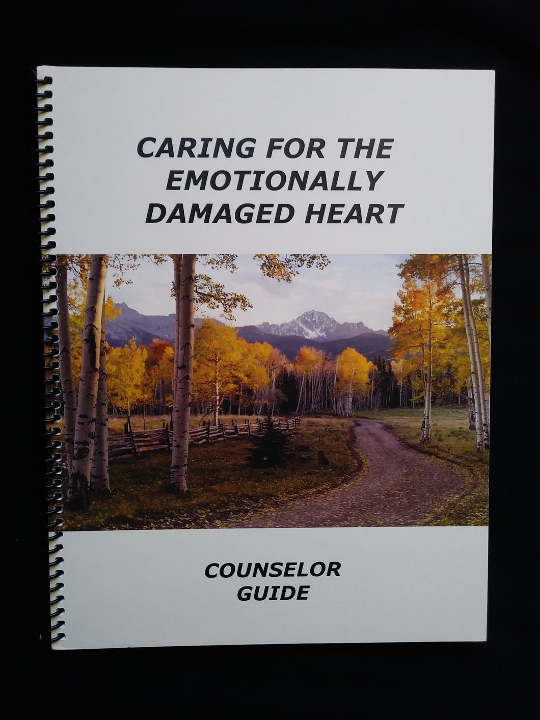 Caring for the Emotionally Damaged Heart - Counselor Guide