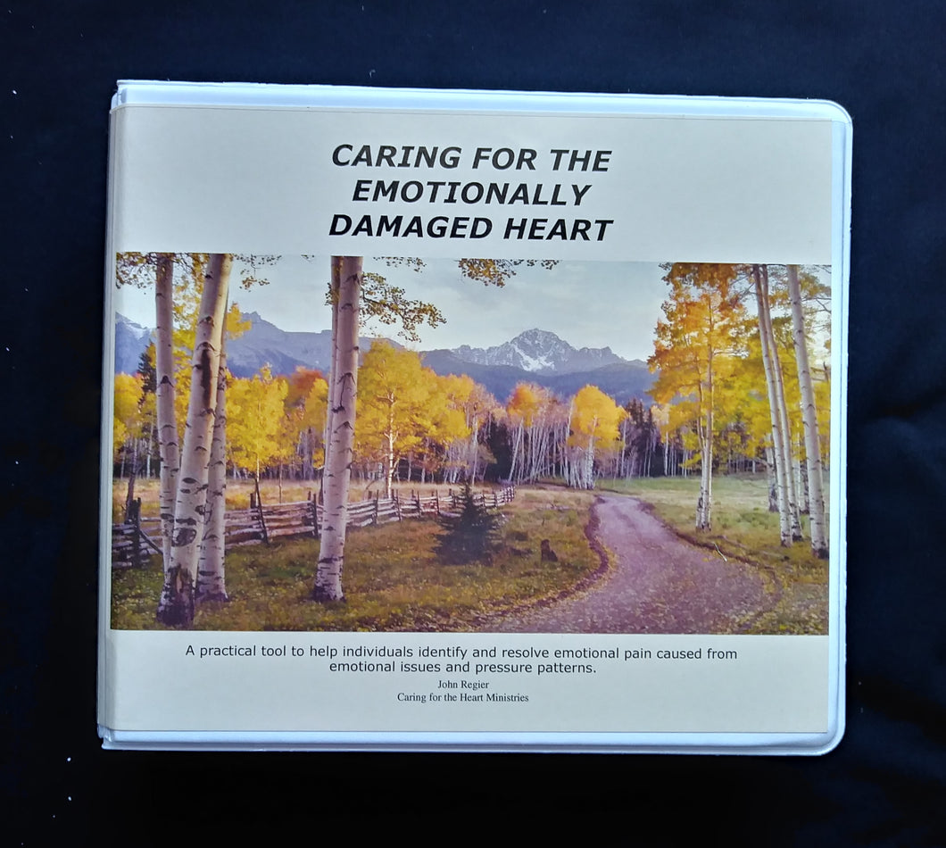 Caring for the Emotionally Damaged Heart - DVD set